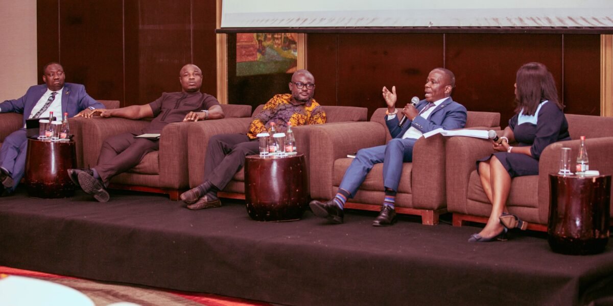 Financing key to unlocking Africa’s energy potential – Jinapor