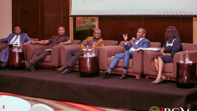 Financing key to unlocking Africa’s energy potential – Jinapor