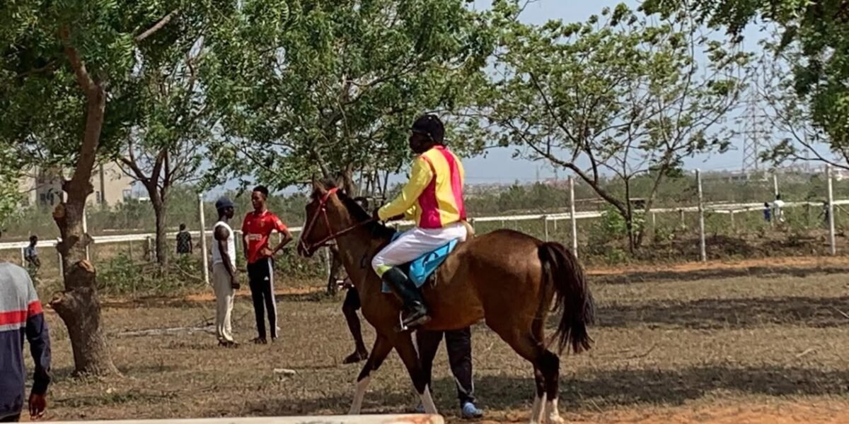 Accra’s only public horse racing course destroyed at Borteyman