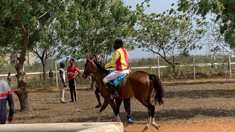 Accra’s only public horse racing course destroyed at Borteyman