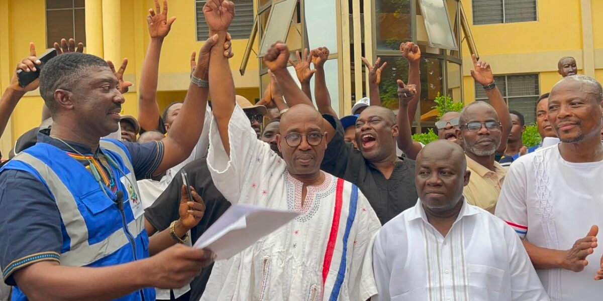 NPP polls: Makafui Woanya re-elected as Volta Regional Chairman