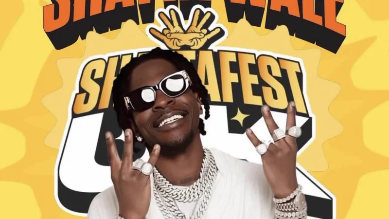 ‘Our hearts are with everyone affected’ — Shatta Wale’s management after ShattaFest UK tragedy