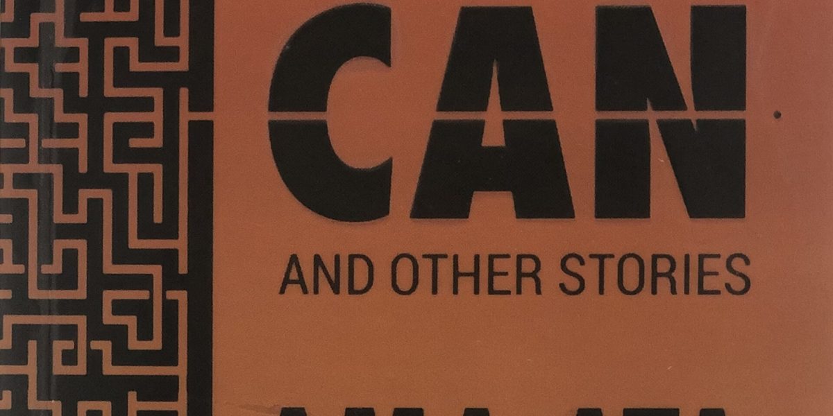 Cover of Ama Ata Aidoo's The Girl Who Can and Other Stories