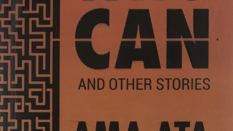 Cover of Ama Ata Aidoo's The Girl Who Can and Other Stories